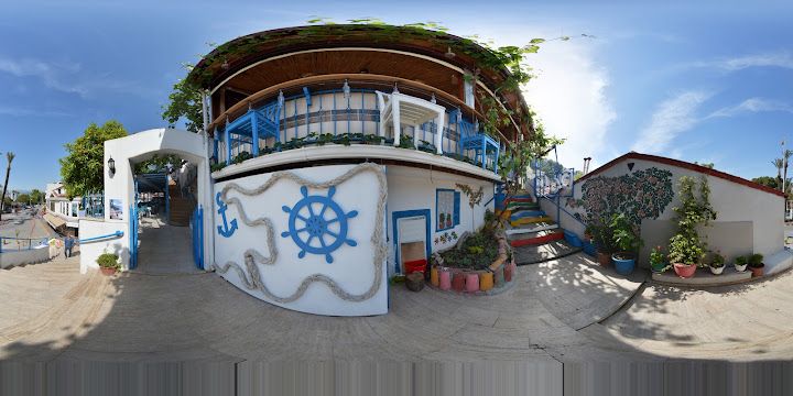 Fotoğraf 24