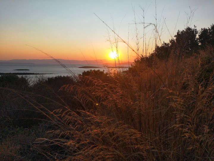 Fotoğraf 51