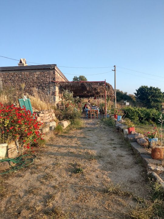 Fotoğraf 57