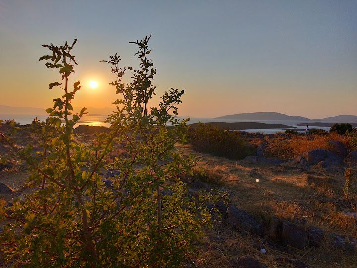 Fotoğraf 52