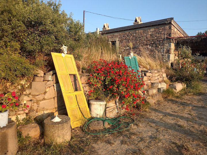 Fotoğraf 56