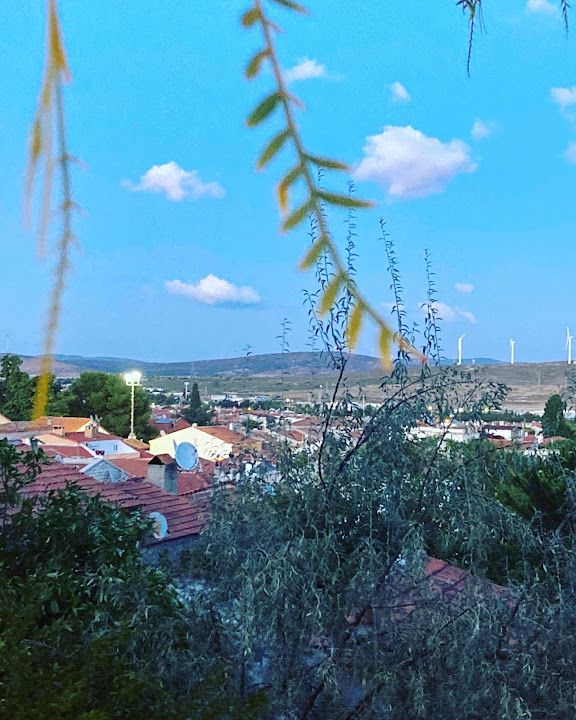 Fotoğraf 18