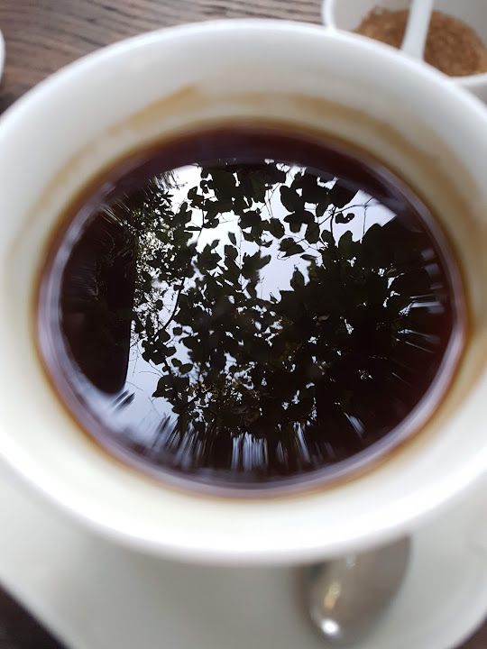 Fotoğraf 14