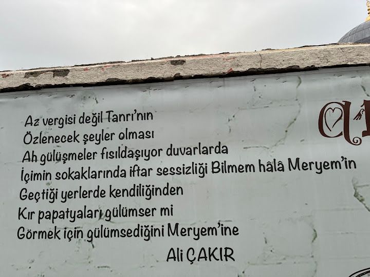 Fotoğraf 12