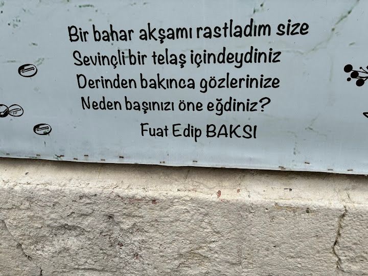 Fotoğraf 13