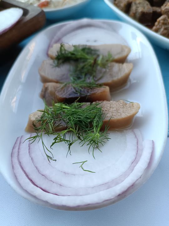 Fotoğraf 16