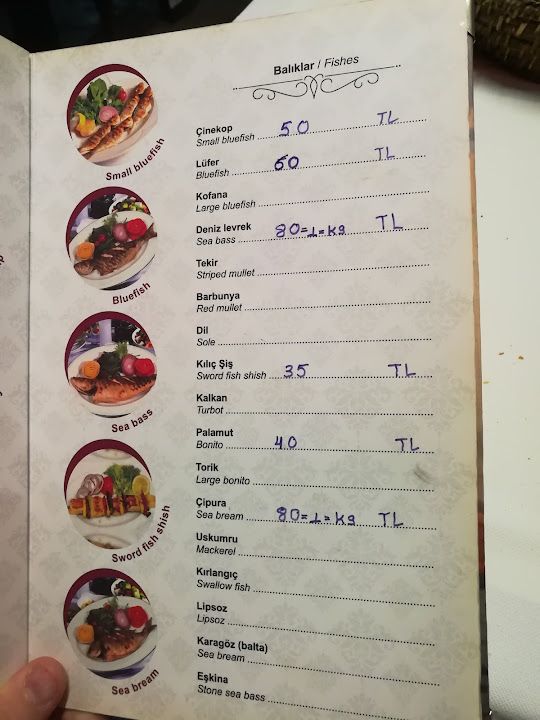 Fotoğraf 17