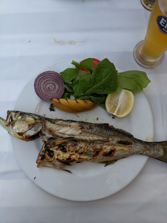 Fotoğraf 19