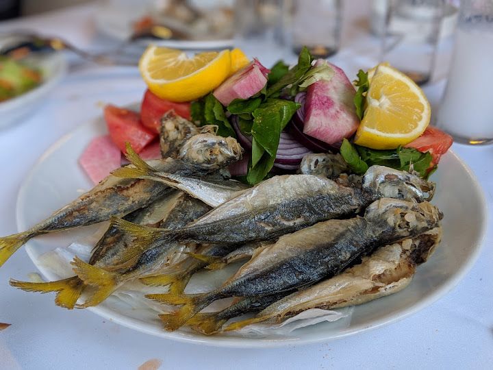 Fotoğraf 12