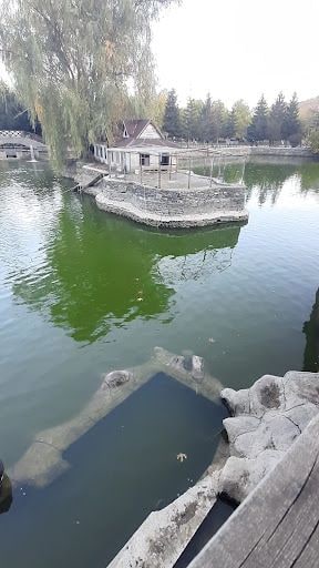 Yorum fotoğrafı 10