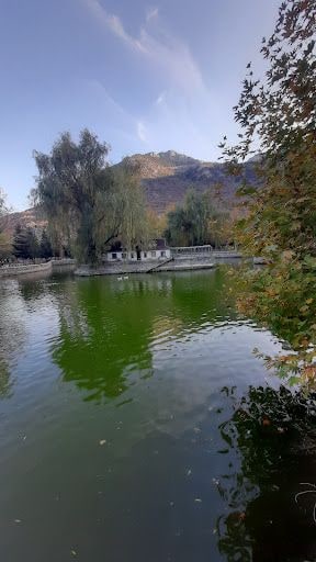 Yorum fotoğrafı 5