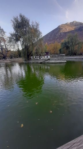 Yorum fotoğrafı 6