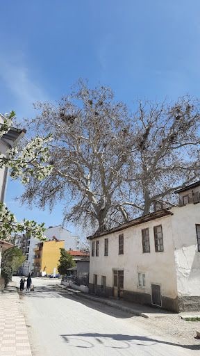 Yorum fotoğrafı 6