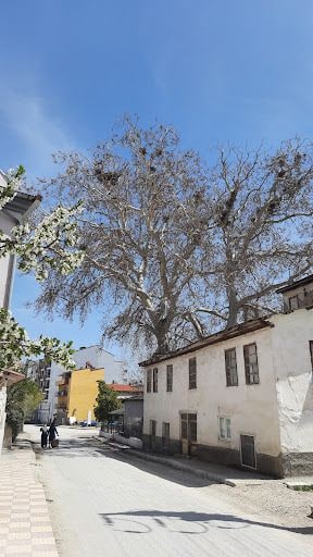 Yorum fotoğrafı 7