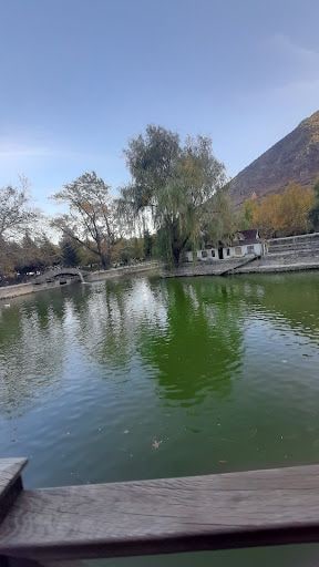Yorum fotoğrafı 8