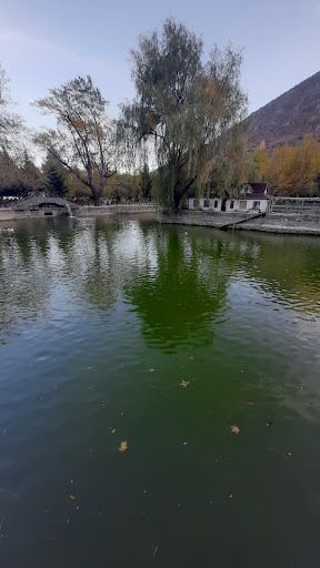 Yorum fotoğrafı 9