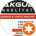 Ahmet Akgül