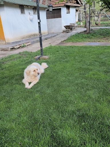 Yorum fotoğrafı 7