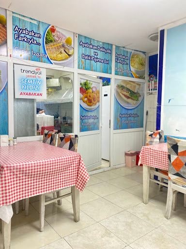 Yorum fotoğrafı 5