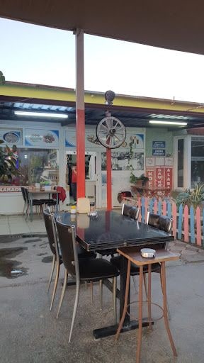 Fotoğraf 8