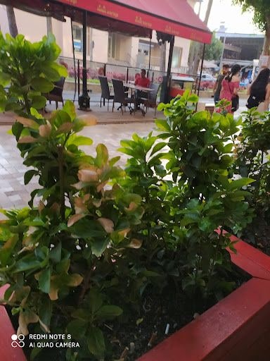 Fotoğraf 12