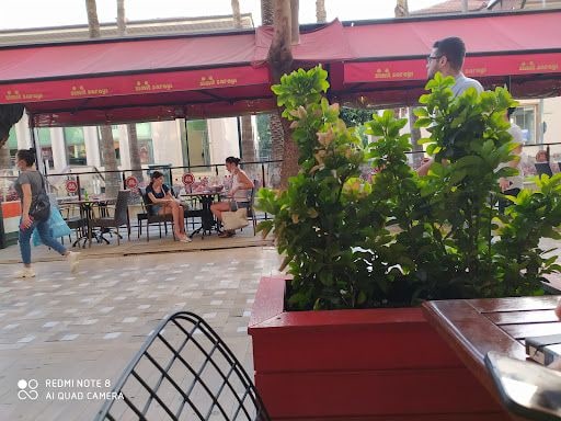 Fotoğraf 19