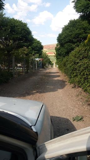 Fotoğraf 9