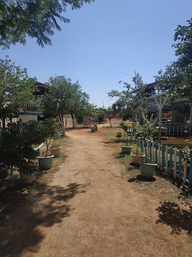 Yorum fotoğrafı 6