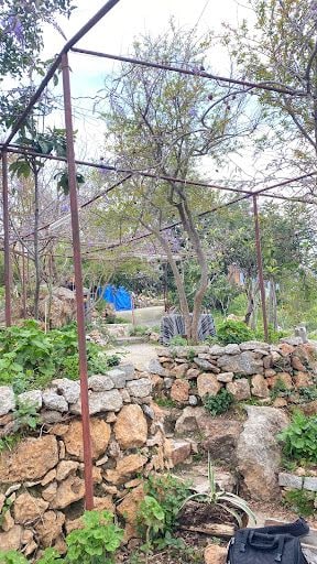 Yorum fotoğrafı 4