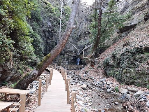 Fotoğraf 40