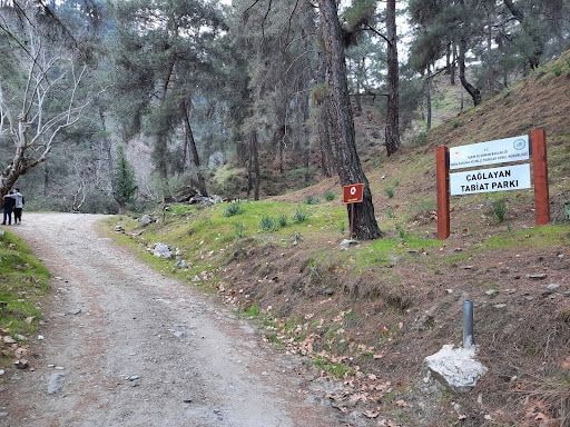 Fotoğraf 49