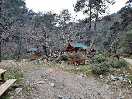 Fotoğraf 45