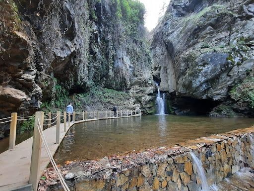 Fotoğraf 46