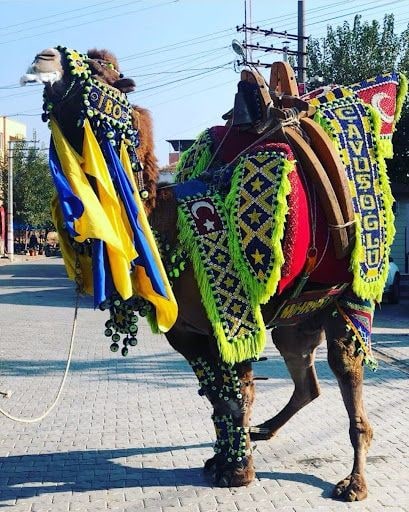 Fotoğraf 7