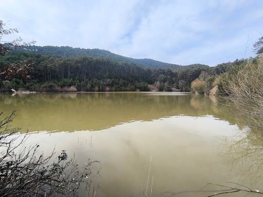 Fotoğraf 15