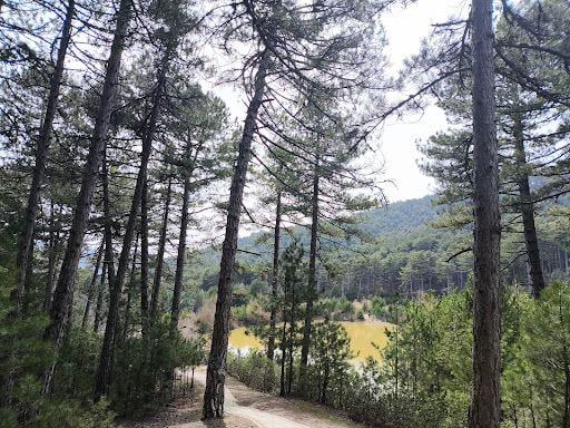 Fotoğraf 18