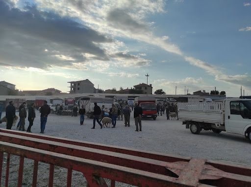 Yorum fotoğrafı 3