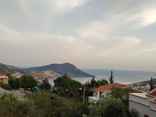 Yorum fotoğrafı 5