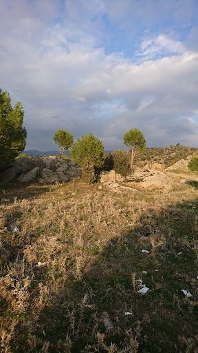 Fotoğraf 12