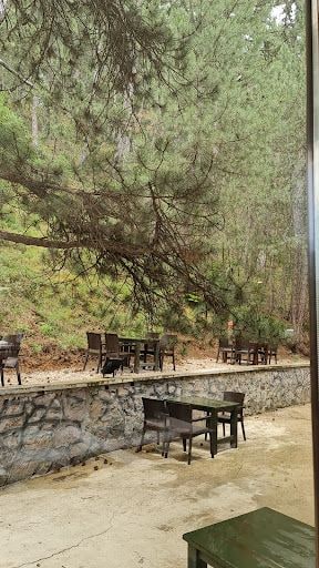 Yorum fotoğrafı 5