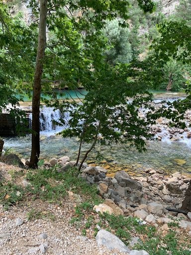 Yorum fotoğrafı 3