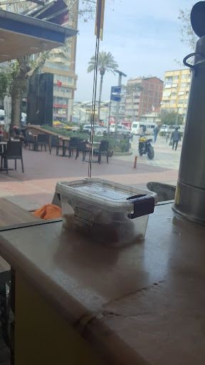 Fotoğraf 21