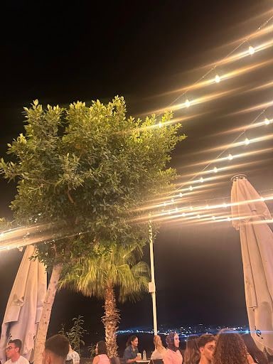 Fotoğraf 24