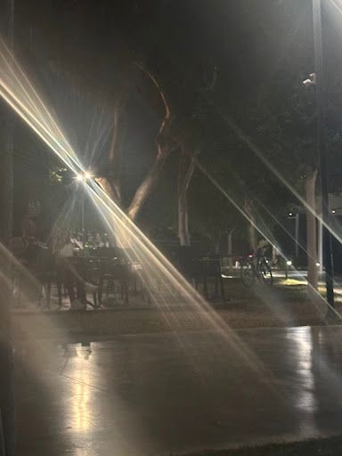 Fotoğraf 26