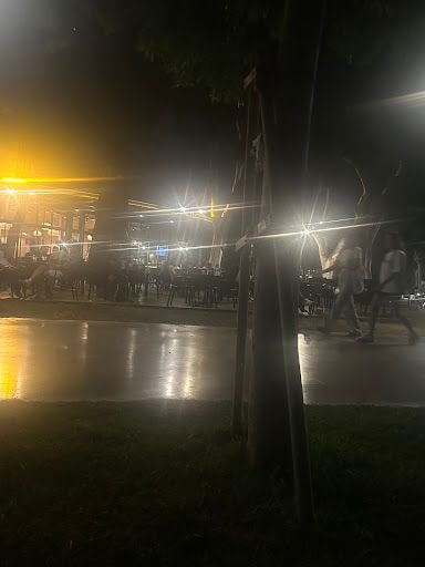 Fotoğraf 28