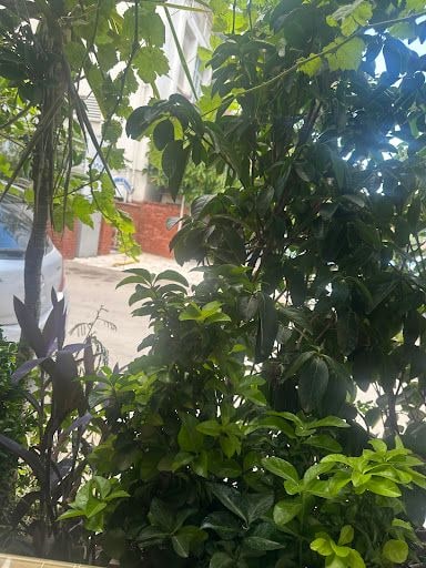 Yorum fotoğrafı 9