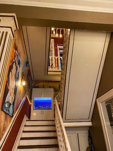 Fotoğraf 15