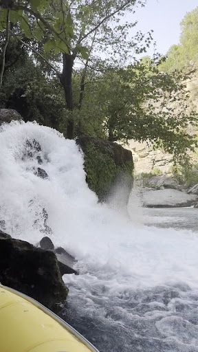 Fotoğraf 28
