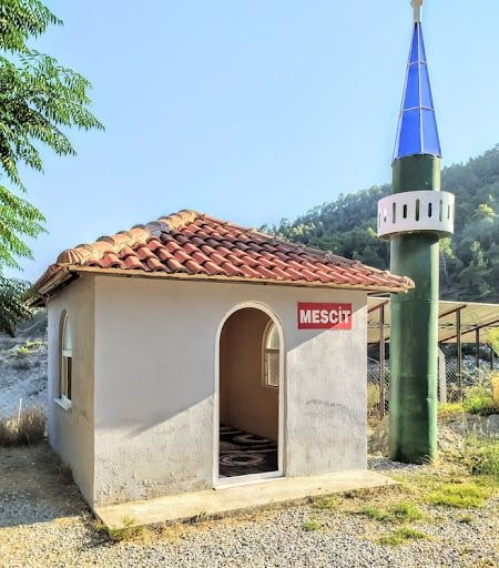 Fotoğraf 11