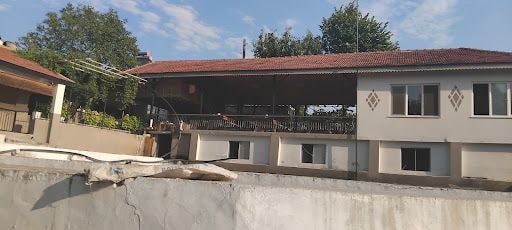 Fotoğraf 13